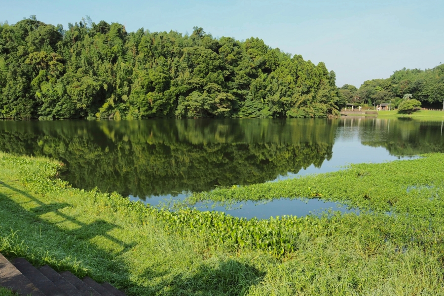 下小原池 鹿児島県鹿屋 水辺遍路