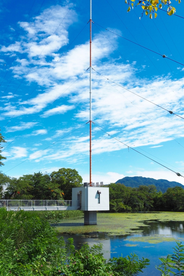 f:id:cippillo:20161001224147j:plain f:id:cippillo:20161001224147j:plain