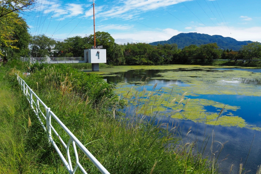 f:id:cippillo:20161001224149j:plain f:id:cippillo:20161001224149j:plain