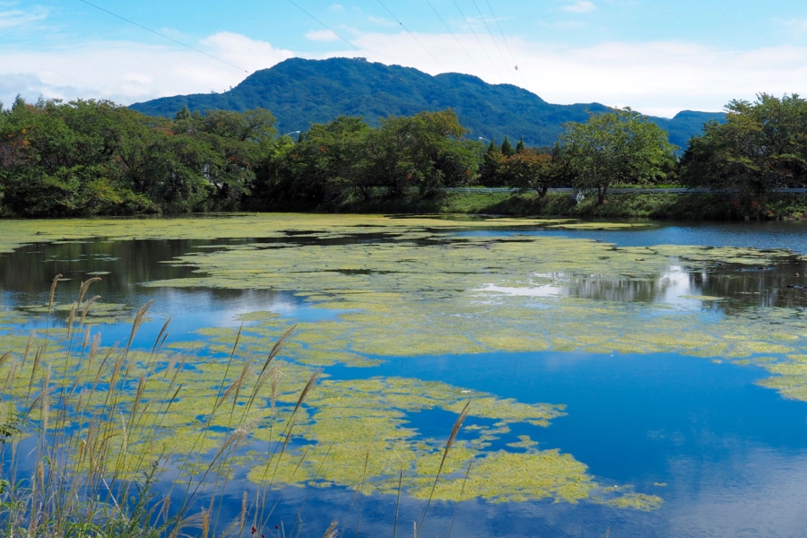 f:id:cippillo:20161001224150j:plain f:id:cippillo:20161001224150j:plain