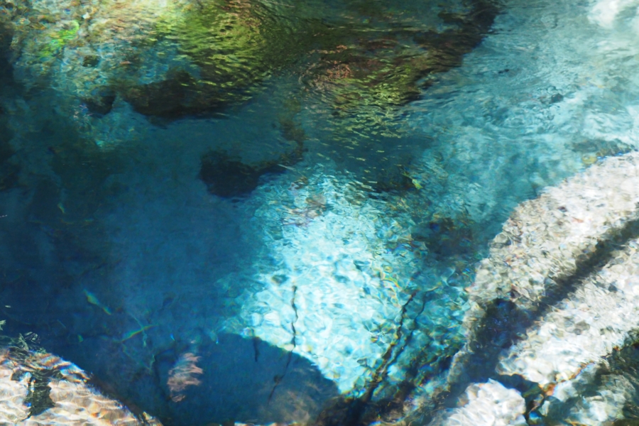 f:id:cippillo:20161009172730j:plain f:id:cippillo:20161009172730j:plain