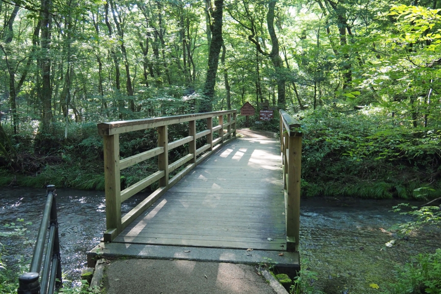 f:id:cippillo:20161009172732j:plain f:id:cippillo:20161009172732j:plain