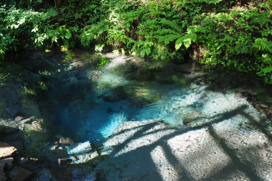 f:id:cippillo:20161009172740j:plain f:id:cippillo:20161009172740j:plain