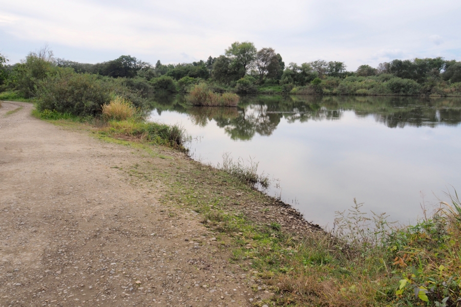 f:id:cippillo:20161017120315j:plain