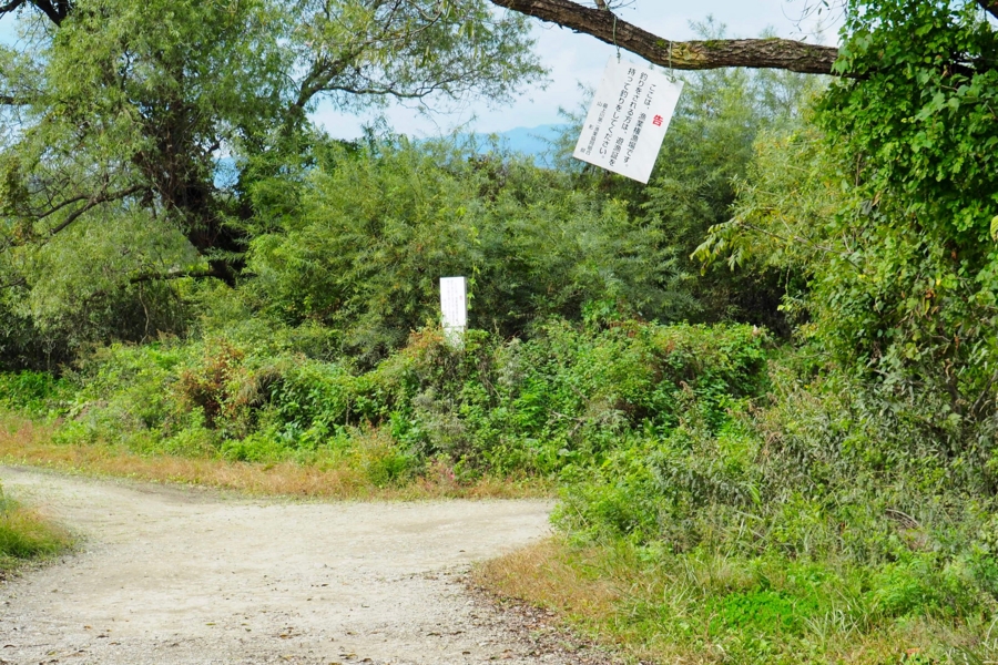 f:id:cippillo:20161017120317j:plain