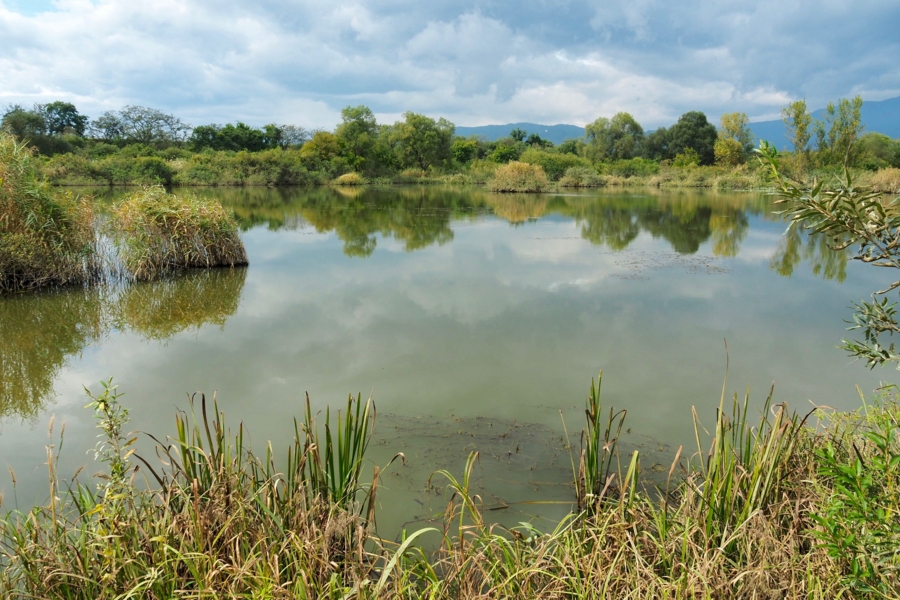 f:id:cippillo:20161017120318j:plain