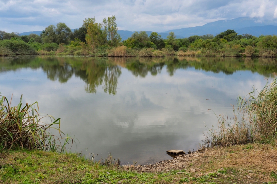 f:id:cippillo:20161017120322j:plain