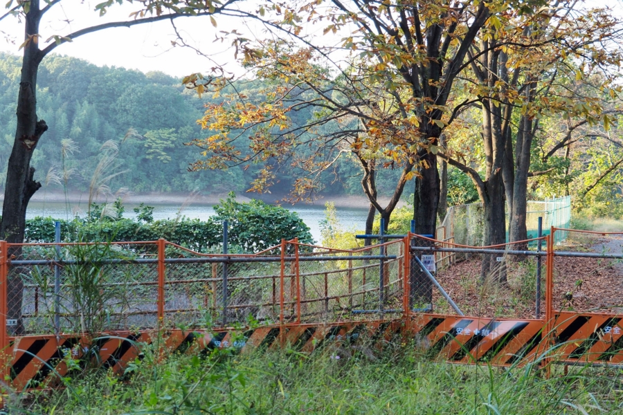 f:id:cippillo:20161018215956j:plain