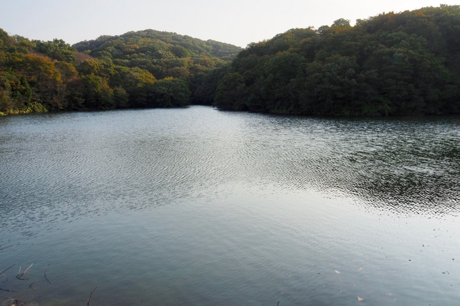 f:id:cippillo:20161109140925j:plain