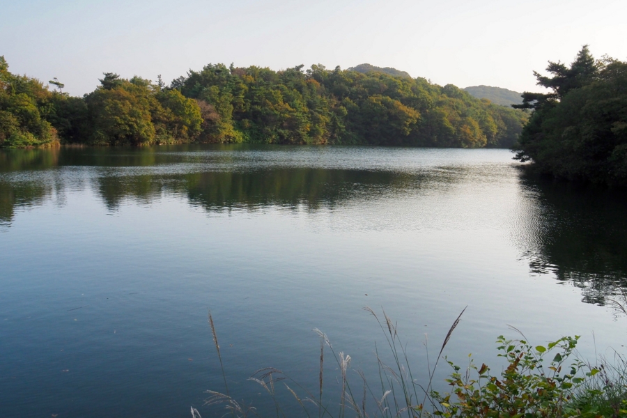 f:id:cippillo:20161109140928j:plain f:id:cippillo:20161109140928j:plain