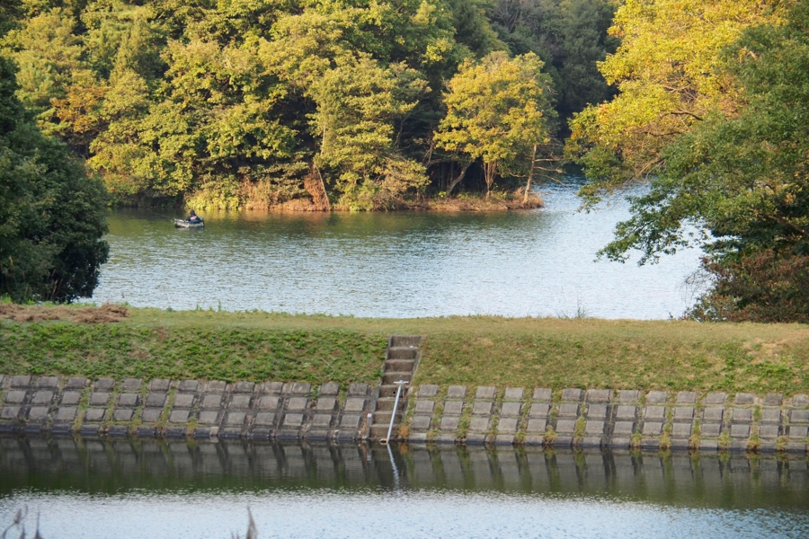 f:id:cippillo:20161109140929j:plain f:id:cippillo:20161109140929j:plain