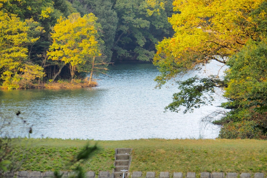 f:id:cippillo:20161109140930j:plain f:id:cippillo:20161109140930j:plain