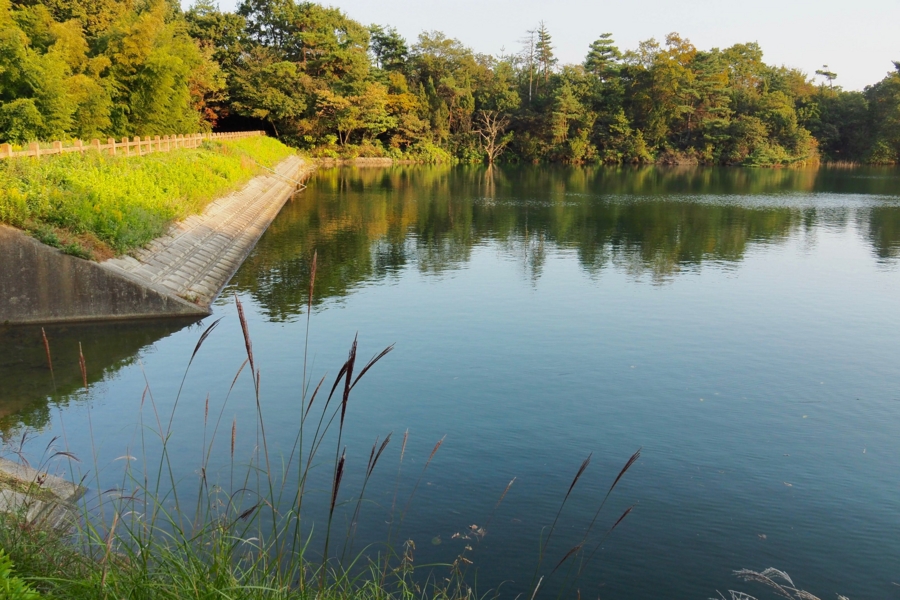 f:id:cippillo:20161109140931j:plain f:id:cippillo:20161109140931j:plain