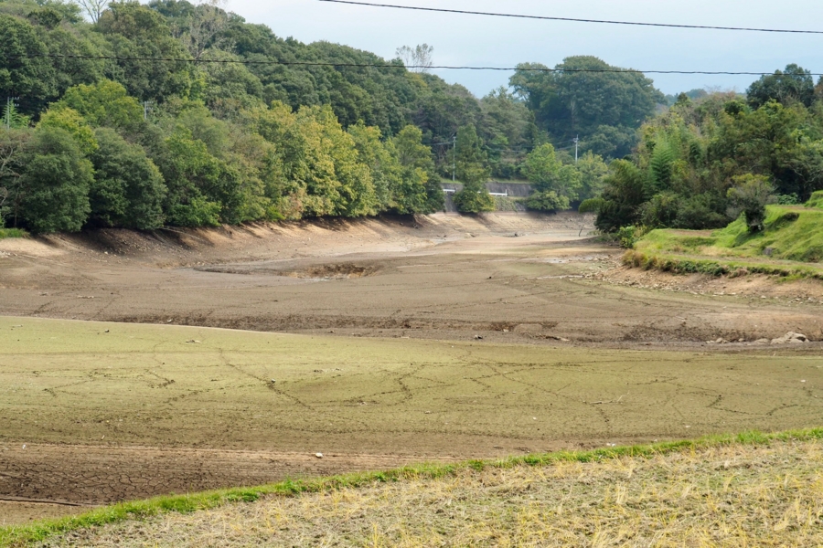 f:id:cippillo:20161109140938j:plain