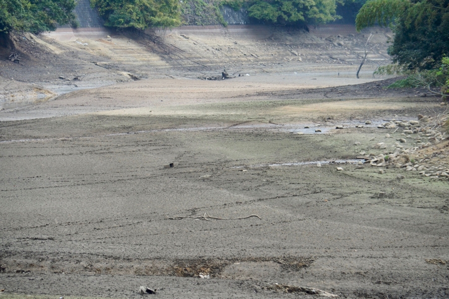 f:id:cippillo:20161109140939j:plain