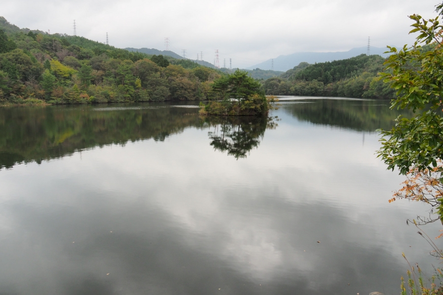 f:id:cippillo:20161109140943j:plain