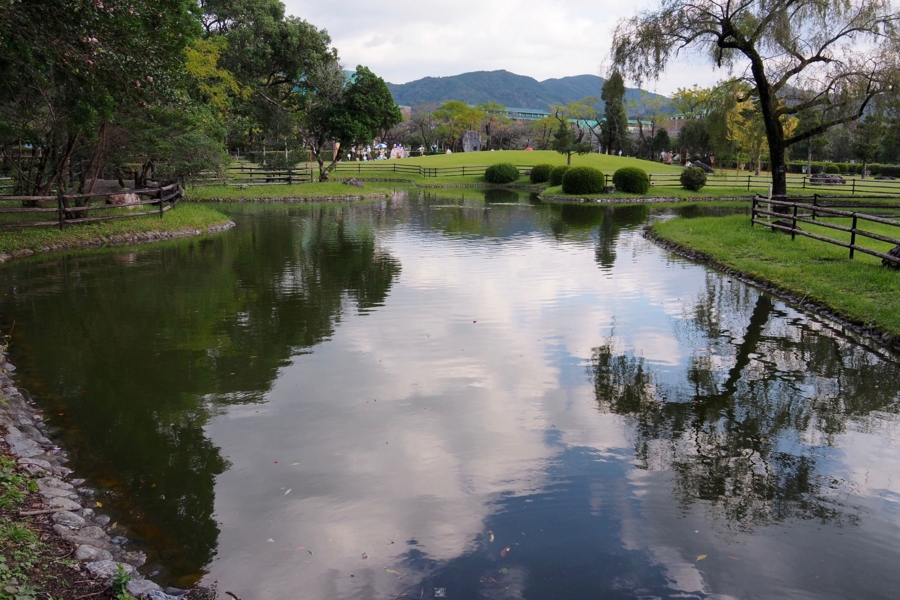 f:id:cippillo:20161109140953j:plain