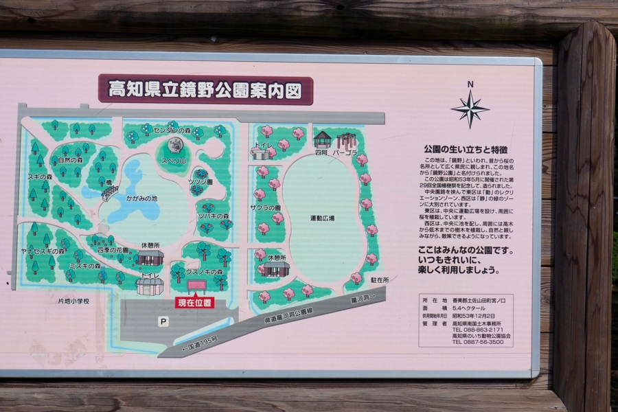 f:id:cippillo:20161109140955j:plain