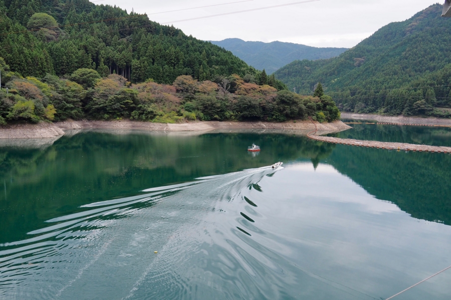 f:id:cippillo:20161109141002j:plain