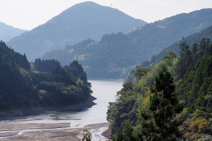 f:id:cippillo:20161109141010j:plain