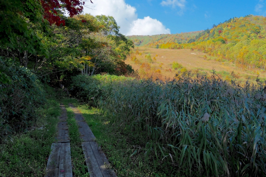 f:id:cippillo:20161113121329j:plain