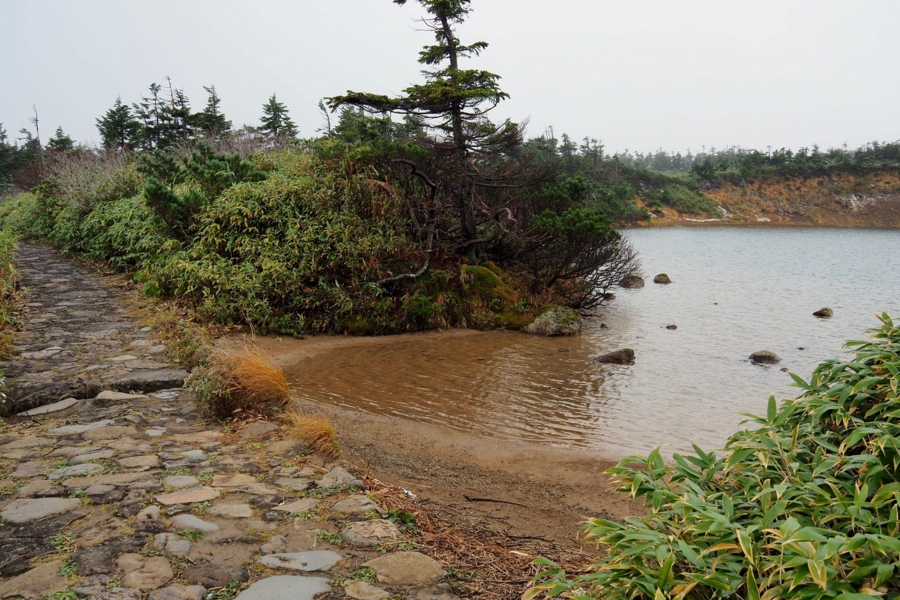 ガマ沼 岩手県八幡平 水辺遍路 ガマ沼 岩手県八幡平 水辺遍路