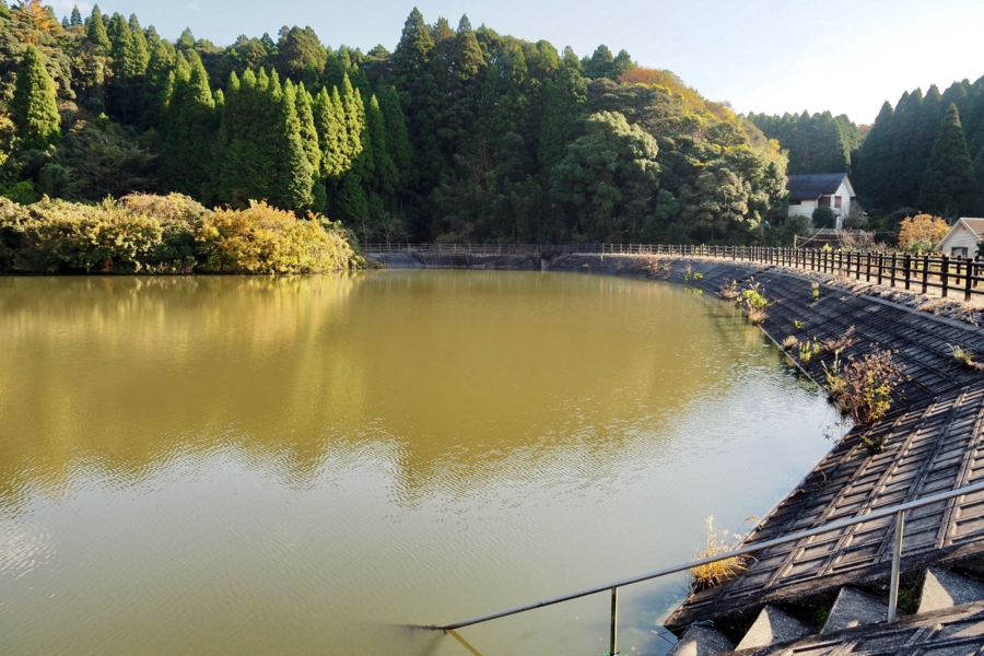 f:id:cippillo:20161126090306j:plain f:id:cippillo:20161126090306j:plain