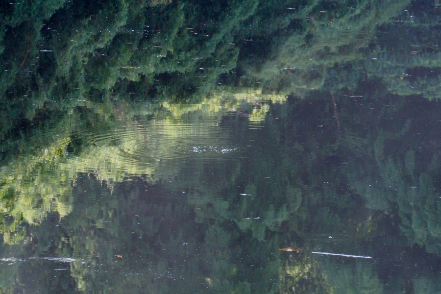 f:id:cippillo:20161209074158j:plain