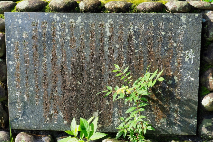 f:id:cippillo:20161209074204j:plain