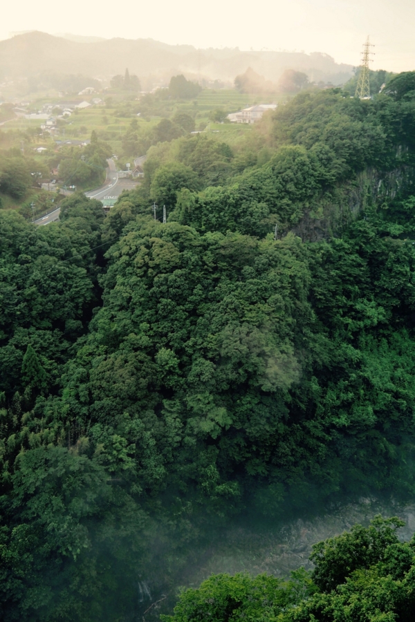 f:id:cippillo:20161211103603j:plain