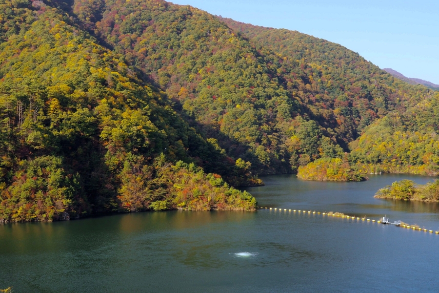 姉川ダム（滋賀県米原） 水辺遍路