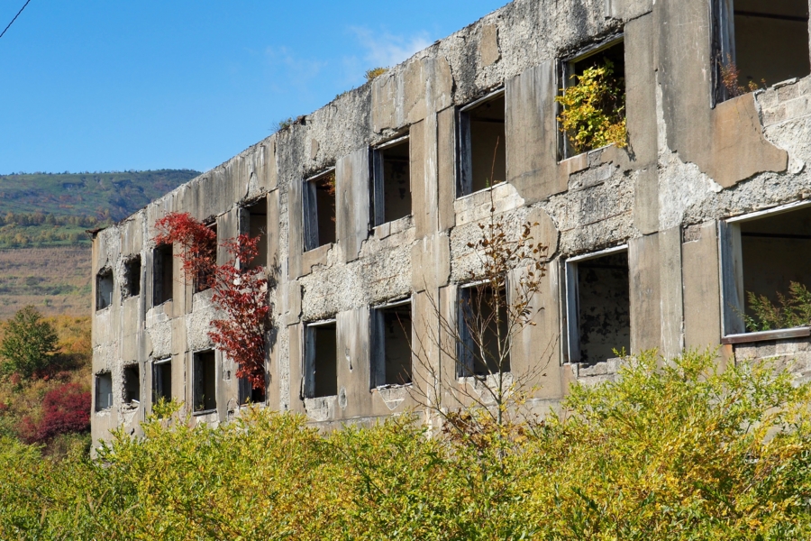 f:id:cippillo:20161227080103j:plain f:id:cippillo:20161227080103j:plain