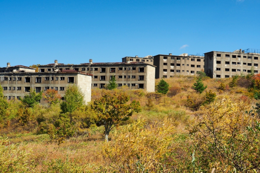 f:id:cippillo:20161227080109j:plain f:id:cippillo:20161227080109j:plain