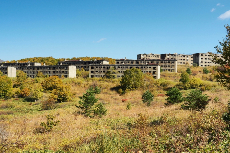 f:id:cippillo:20161227080113j:plain f:id:cippillo:20161227080113j:plain