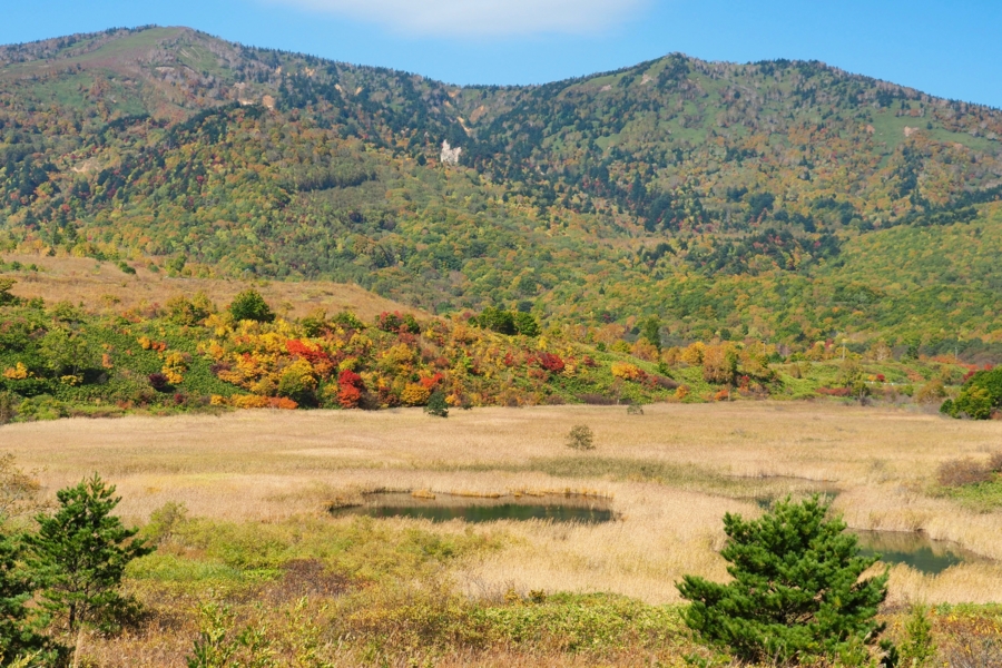 f:id:cippillo:20161227080119j:plain f:id:cippillo:20161227080119j:plain