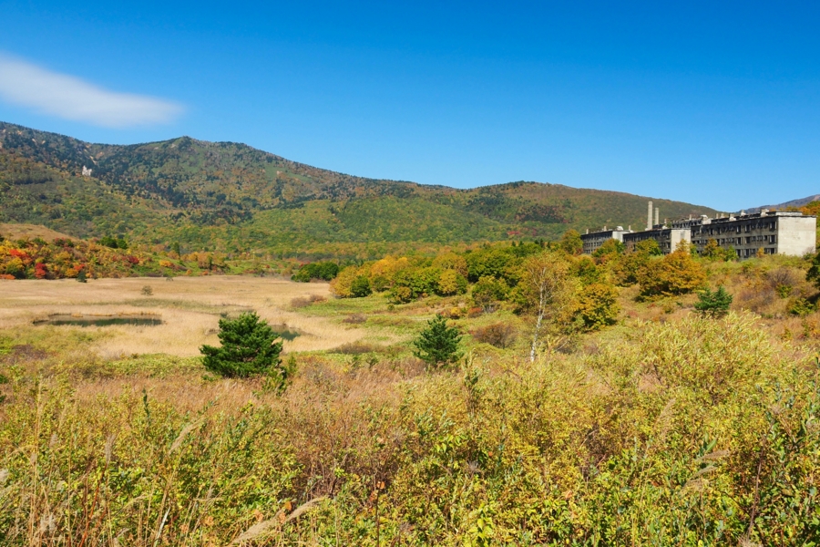 f:id:cippillo:20161227080121j:plain f:id:cippillo:20161227080121j:plain