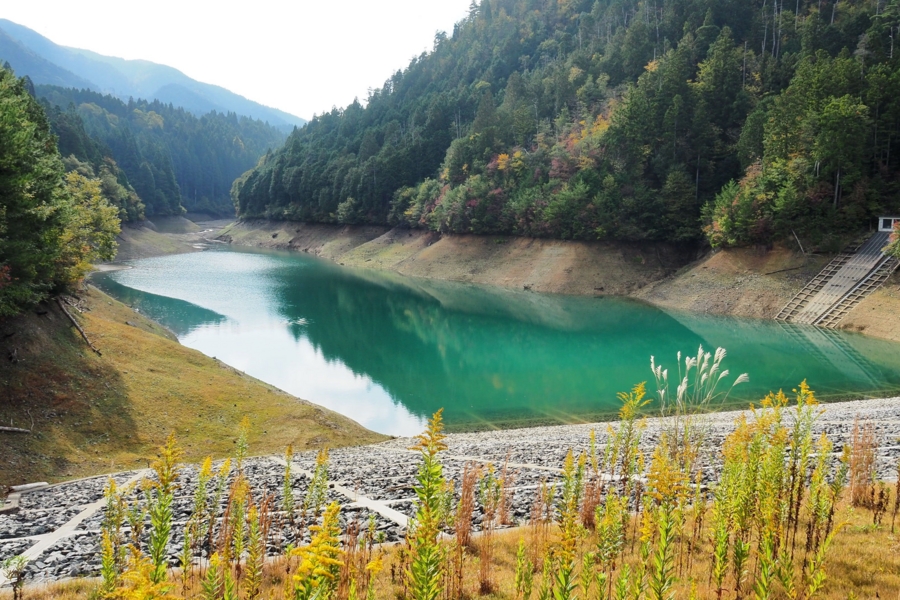 f:id:cippillo:20170103194428j:plain