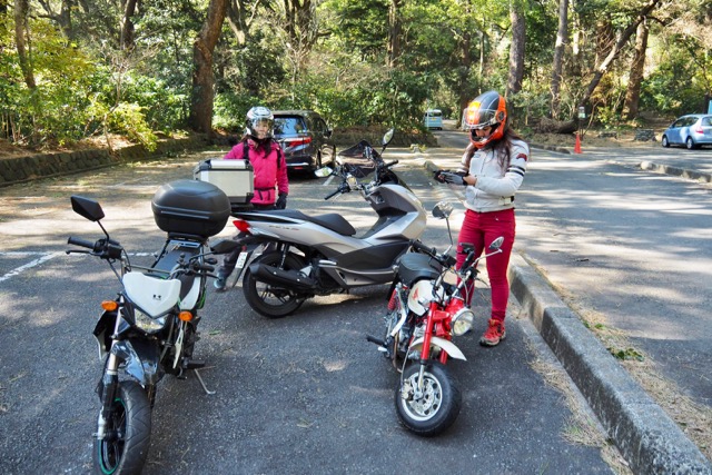 f:id:cippillo:20170203163102j:plain