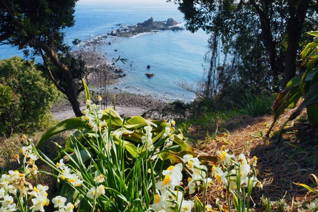 f:id:cippillo:20170203163104j:plain