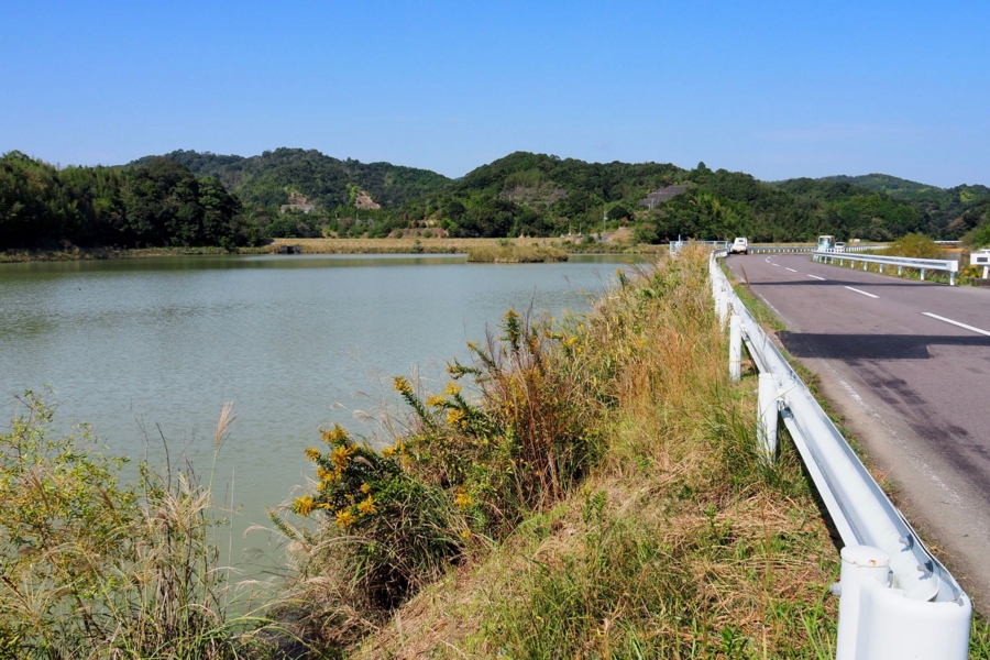 竹島川の野池 仮称 高知県四万十 水辺遍路