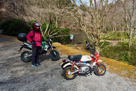 f:id:cippillo:20170303142239j:plain