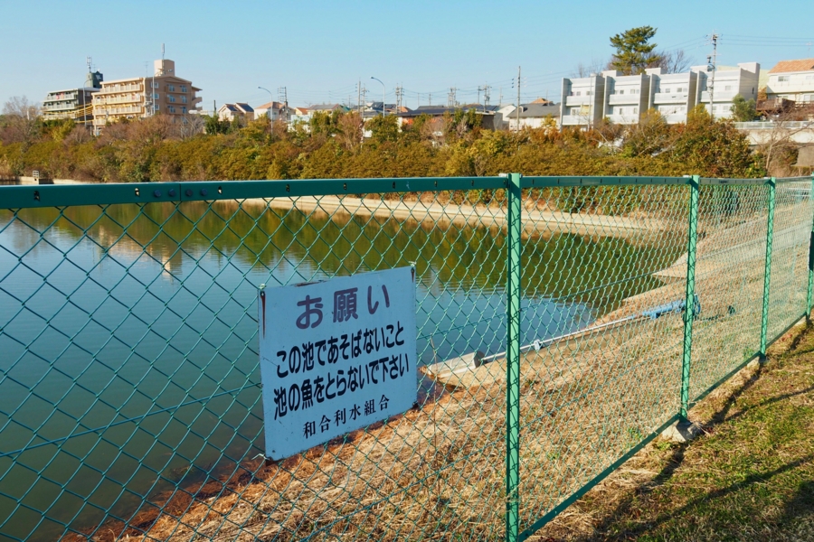 f:id:cippillo:20170314205839j:plain