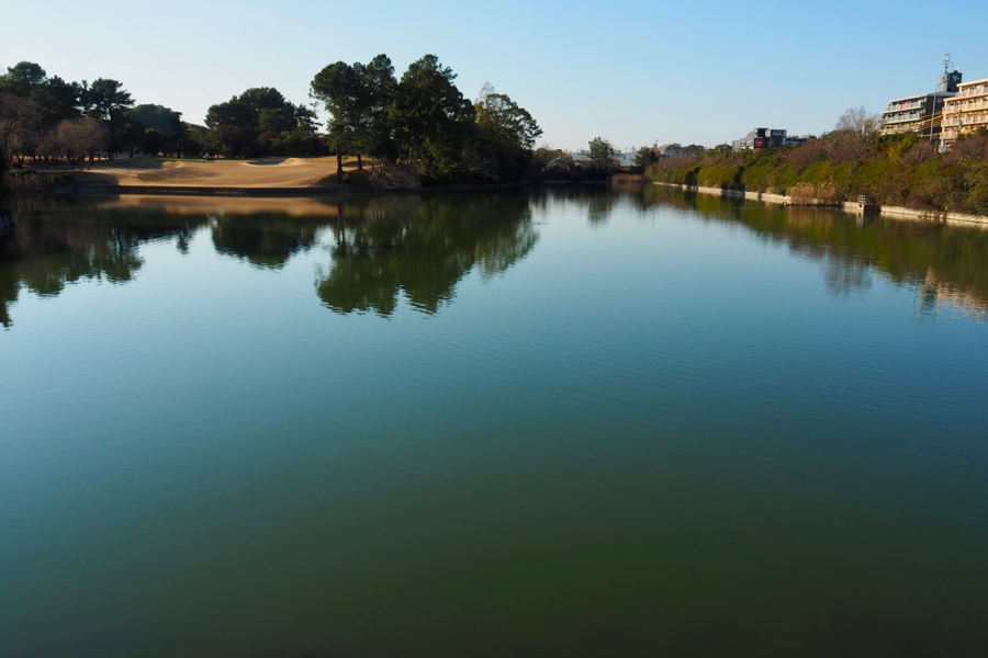 f:id:cippillo:20170314205840j:plain