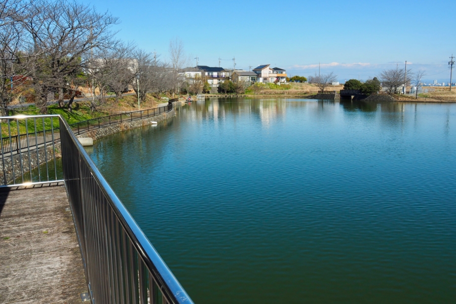 f:id:cippillo:20170314205905j:plain