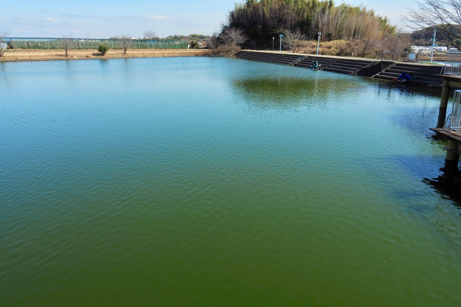 f:id:cippillo:20170314205906j:plain