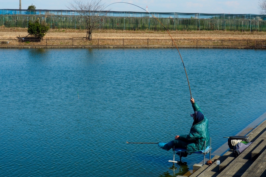 f:id:cippillo:20170314205907j:plain