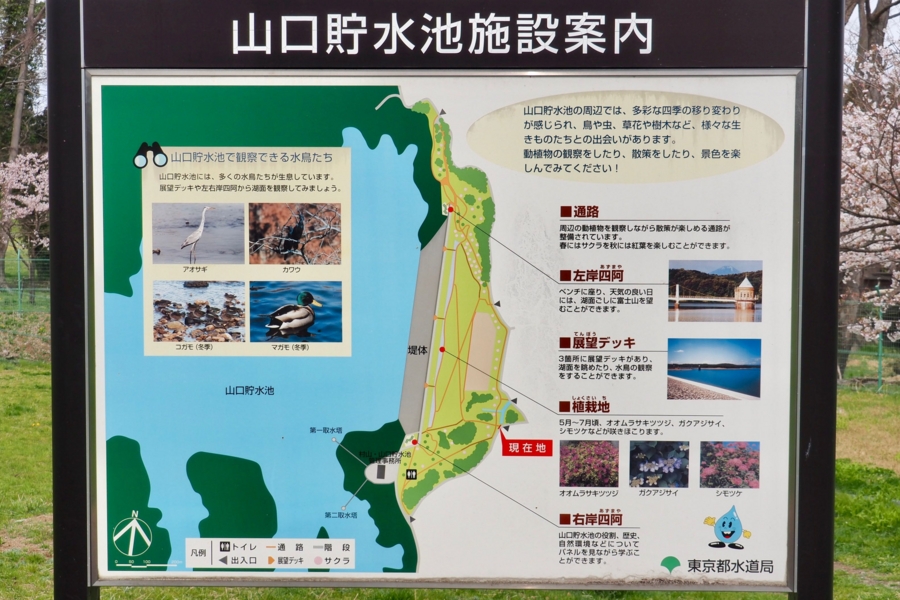 狭山湖 埼玉県所沢 水辺遍路 狭山湖 埼玉県所沢 水辺遍路