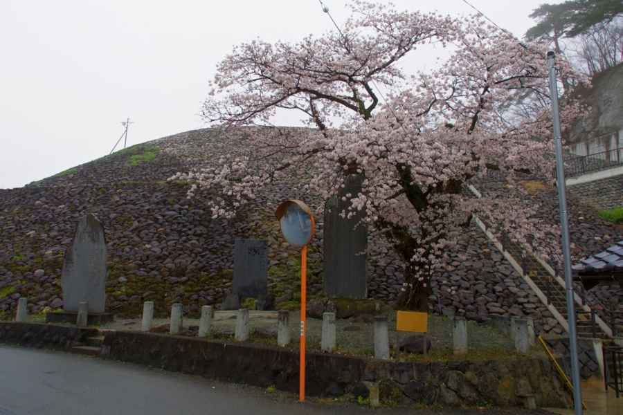 竜ヶ池 山梨県甲府 水辺遍路 竜ヶ池 山梨県甲府 水辺遍路