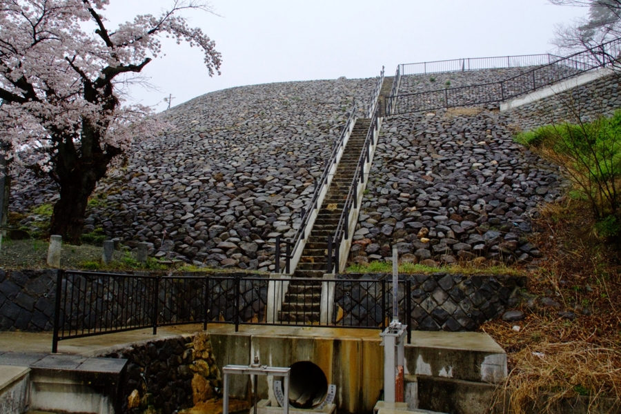 竜ヶ池 山梨県甲府 水辺遍路 竜ヶ池 山梨県甲府 水辺遍路