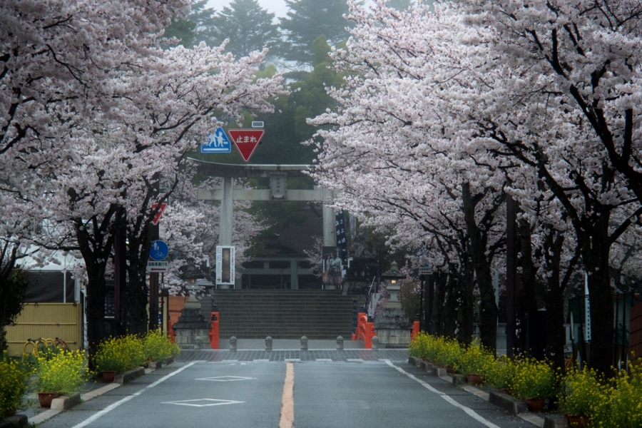 竜ヶ池 山梨県甲府 水辺遍路 竜ヶ池 山梨県甲府 水辺遍路